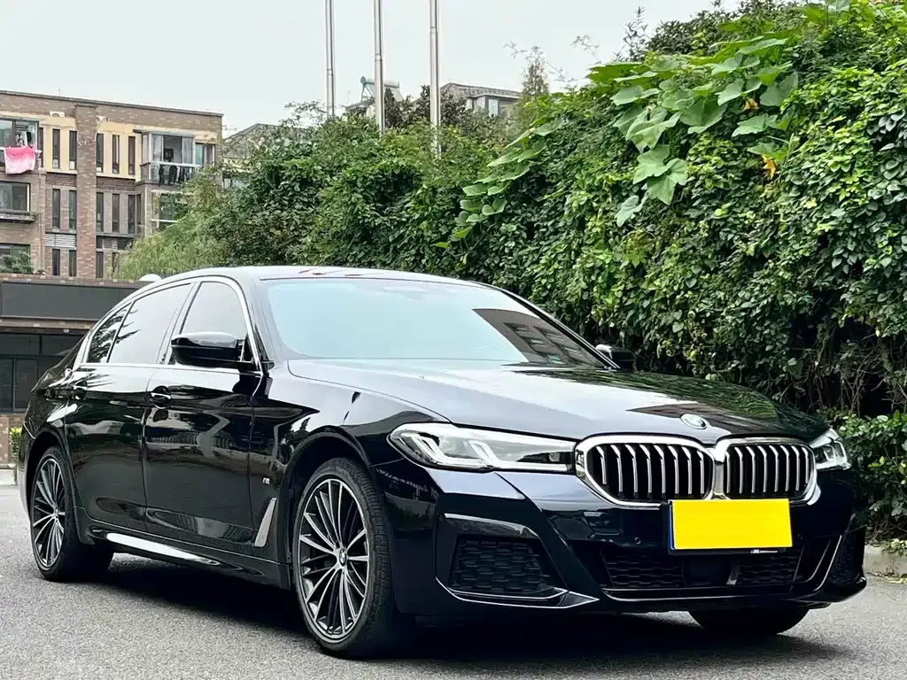 BMW 5 Series 2021 из CN, фото 9