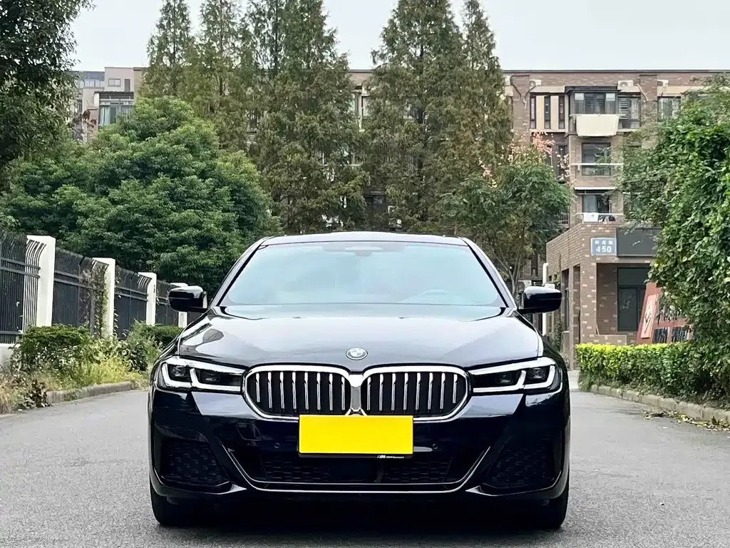 BMW 5 Series 2021 из CN, фото 8