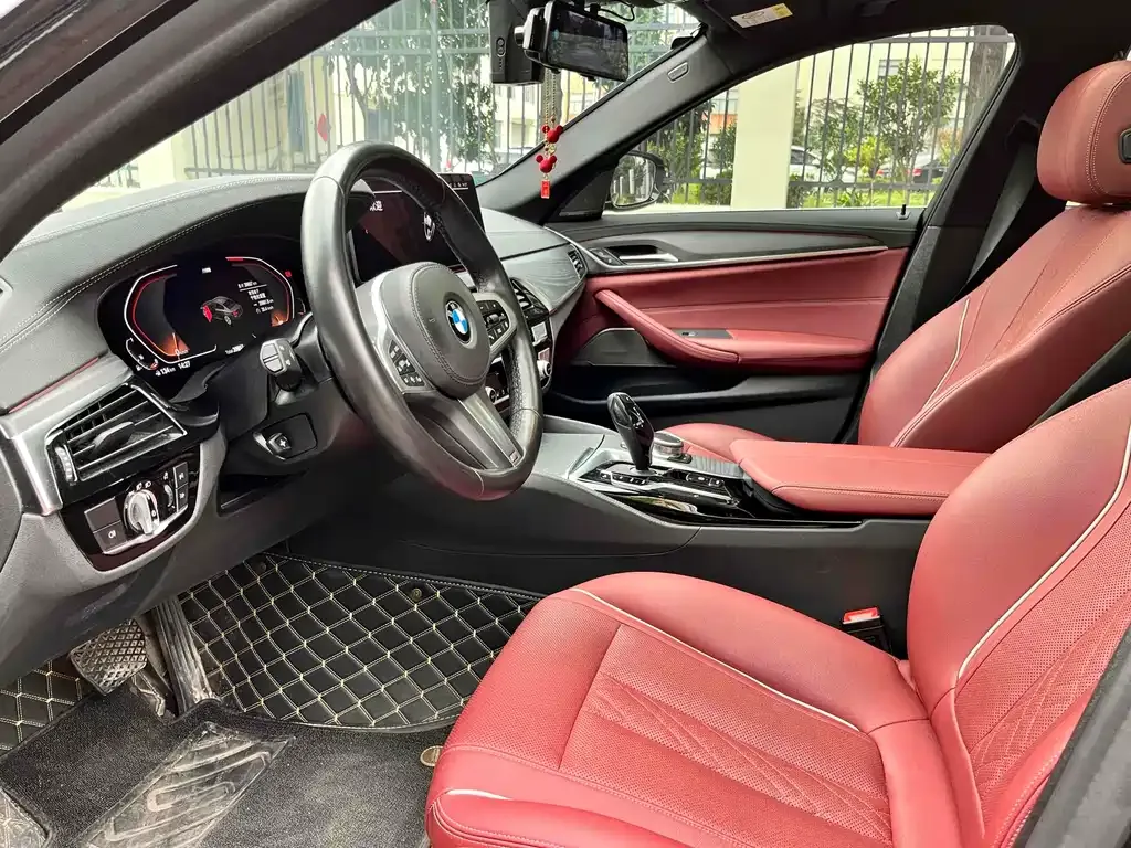 BMW 5 Series 2021 из CN, фото 7