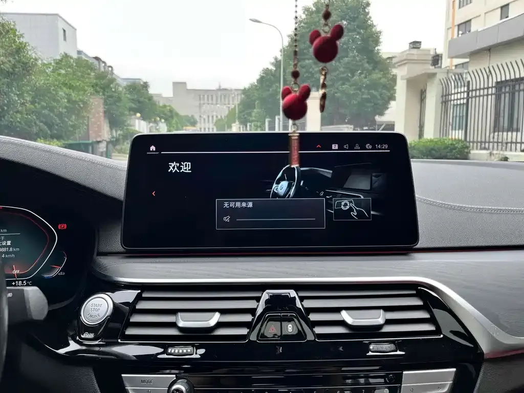 BMW 5 Series 2021 из CN, фото 6