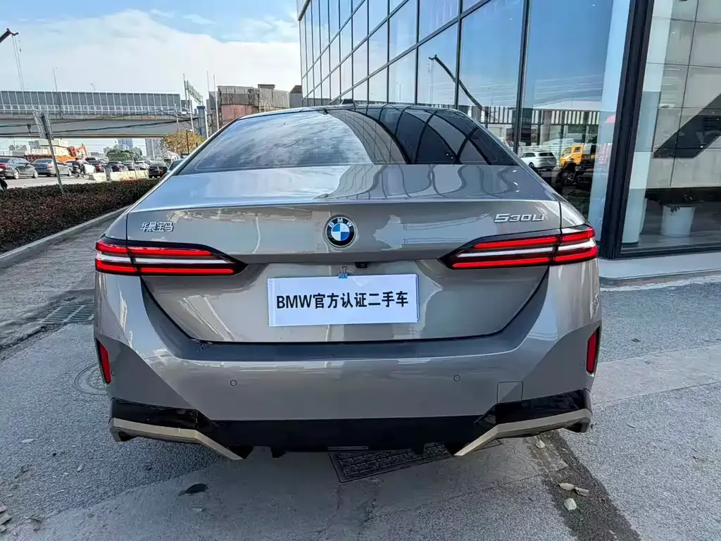 BMW 5 Series 2024 из CN, фото 4