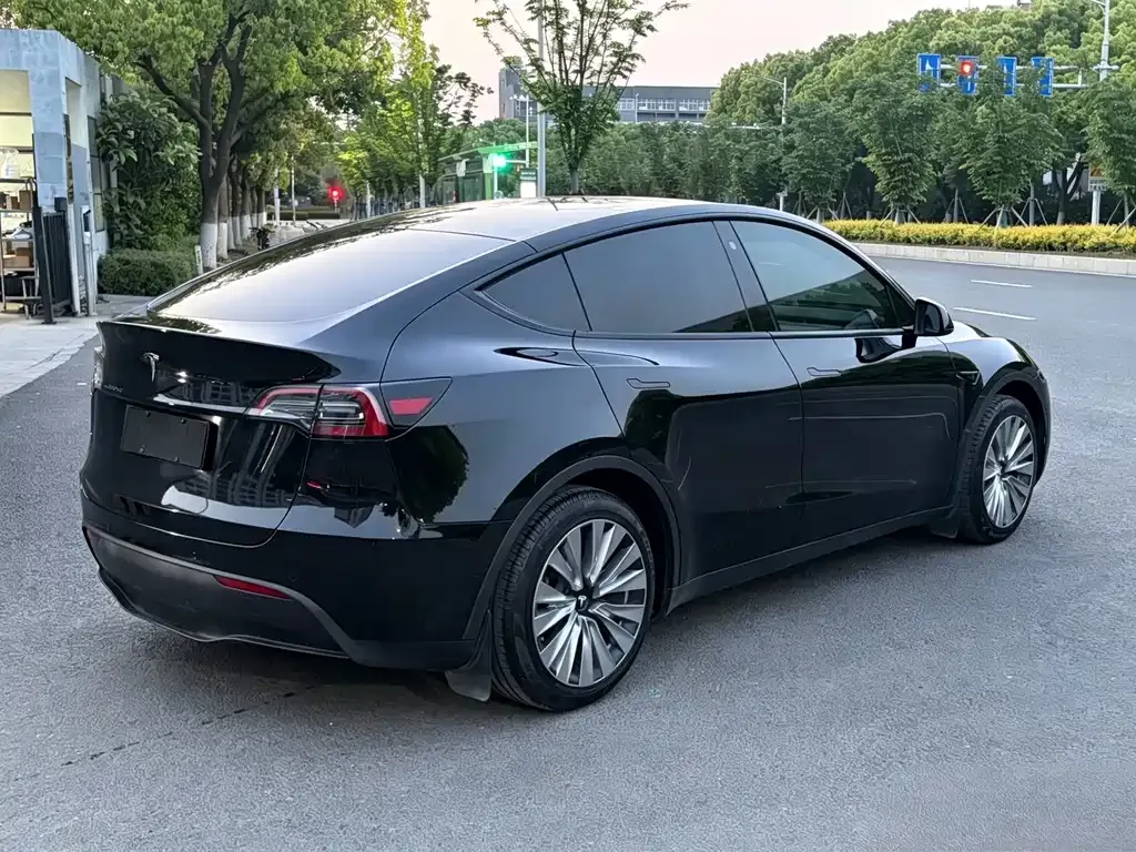 Tesla Model Y — фото 9