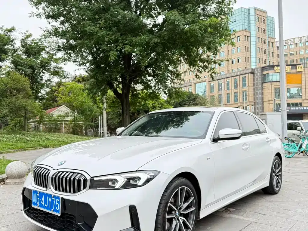 BMW 3 Series 2023 из CN, фото 4