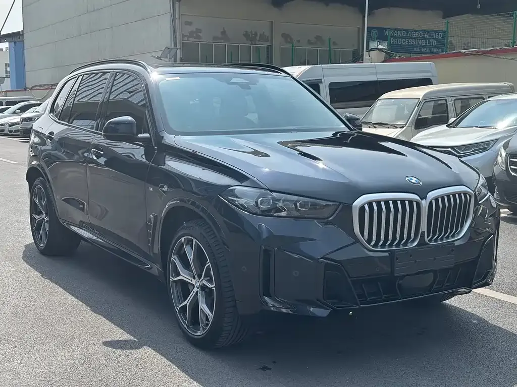 BMW X5 — фото 10