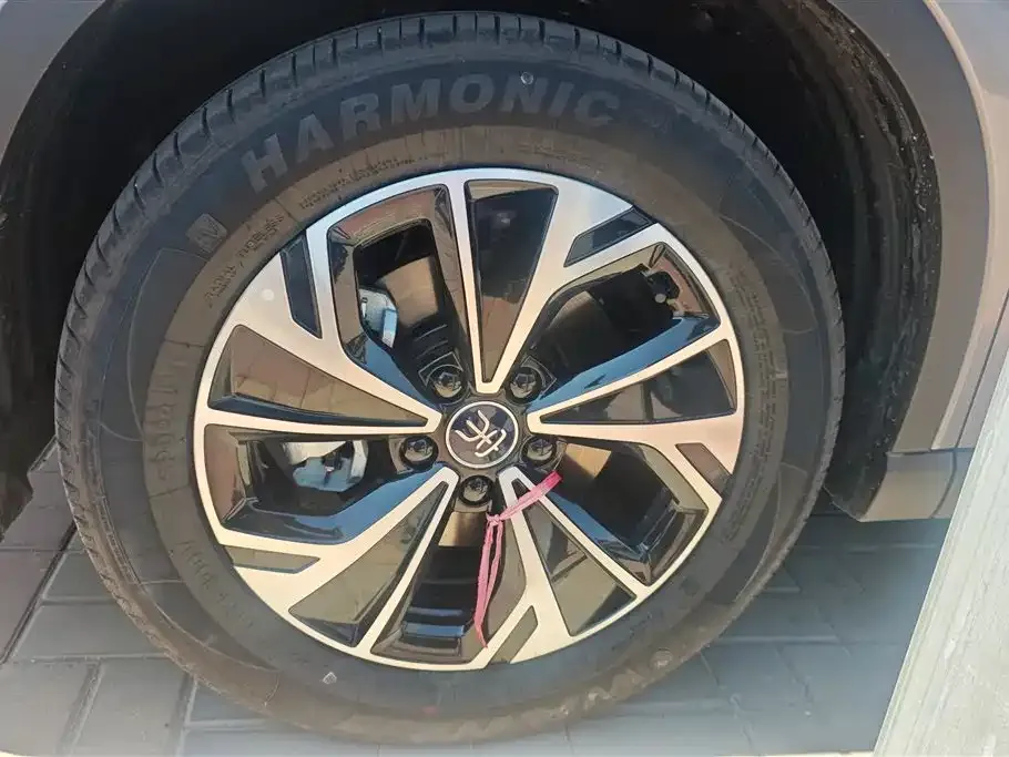 BYD Pro New Energy — фото 8