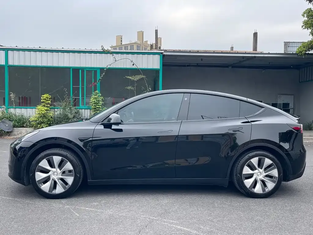 Tesla Model Y — фото 6