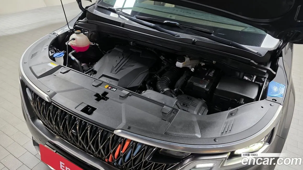 Kia Carnival — фото 10