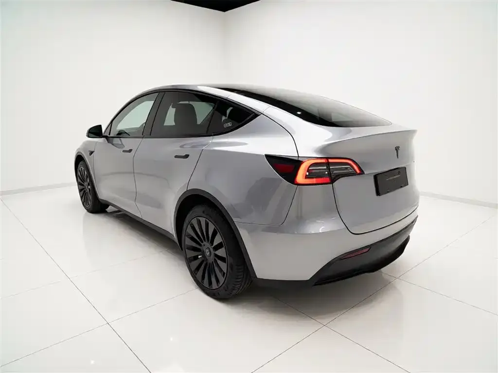 Tesla Model Y — фото 5