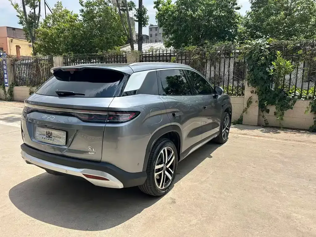 BYD L DM-i — фото 8