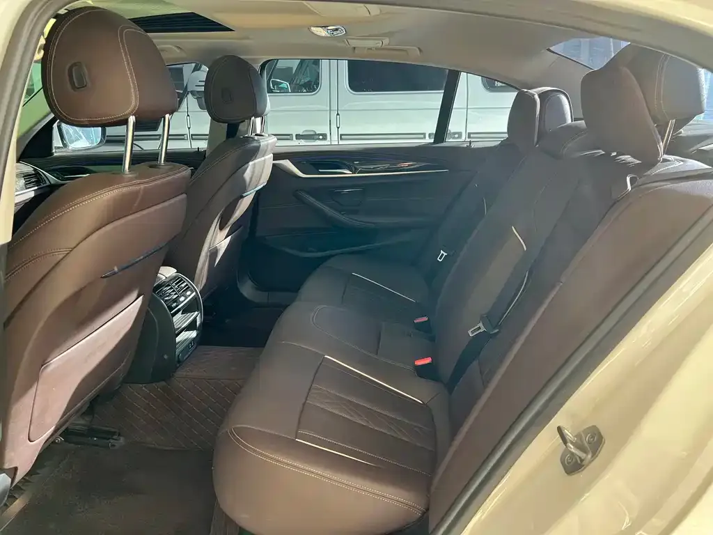 BMW 5 Series 2022 из CN, фото 7