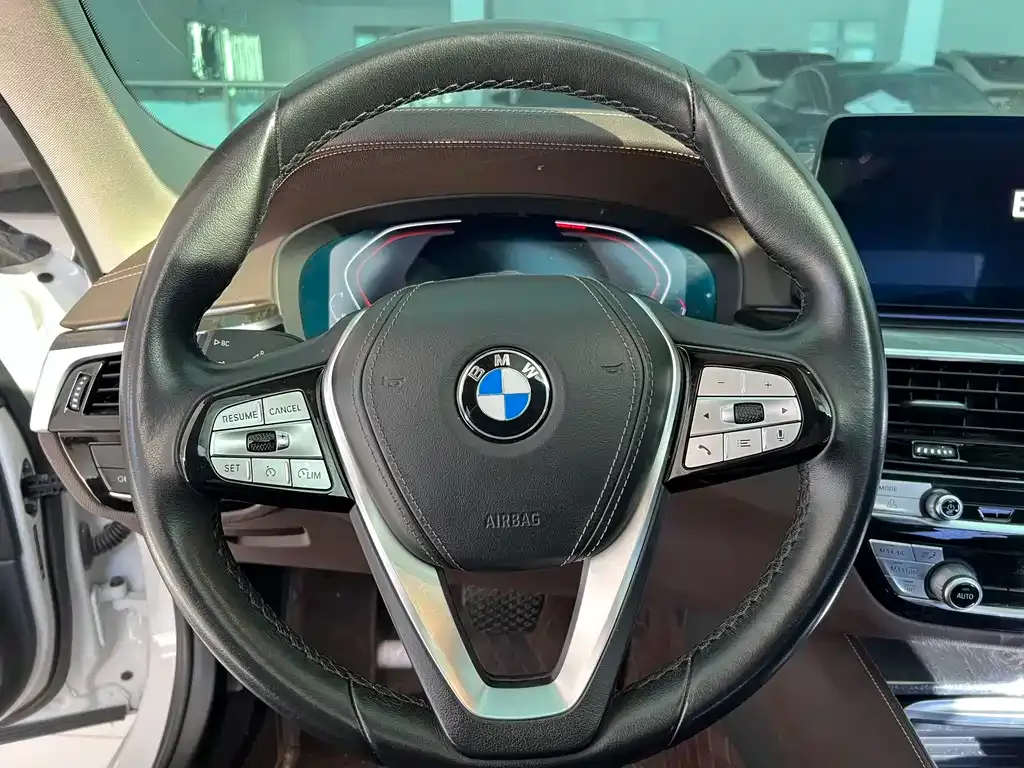BMW 5 Series 2022 из CN, фото 6