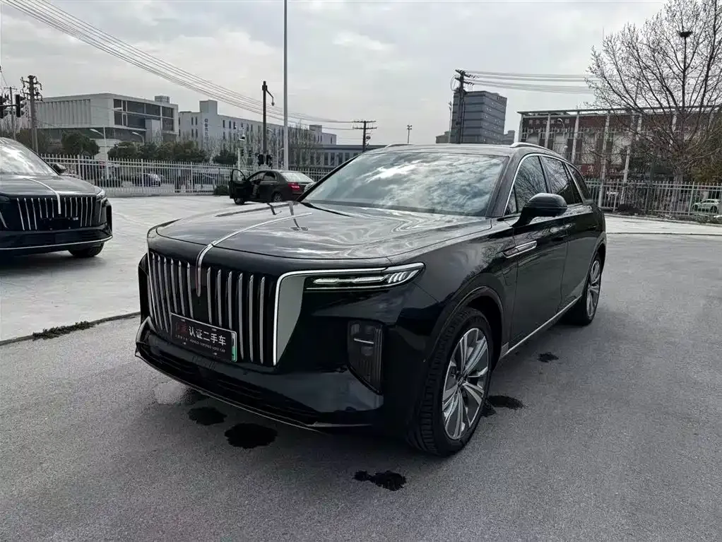 Hongqi E-HS9 2023 из CN, фото 1