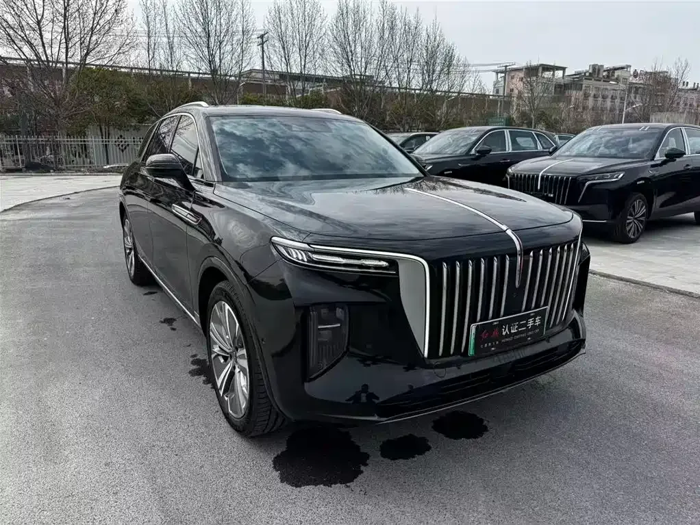Hongqi E-HS9 2023 из CN, фото 8