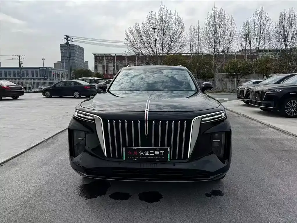Hongqi E-HS9 2023 из CN, фото 7
