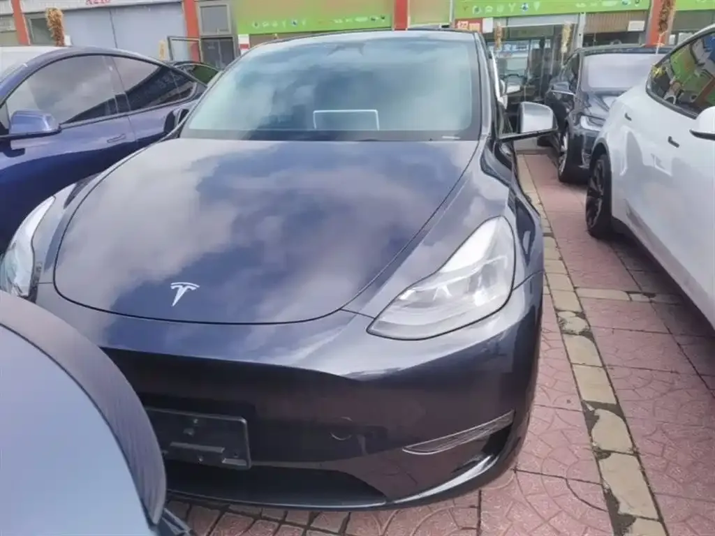 Tesla Model Y — фото 2