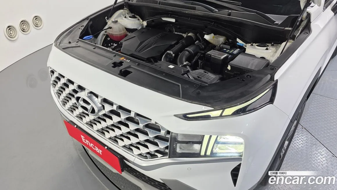 Hyundai Santafe 2021 из KR, фото 4