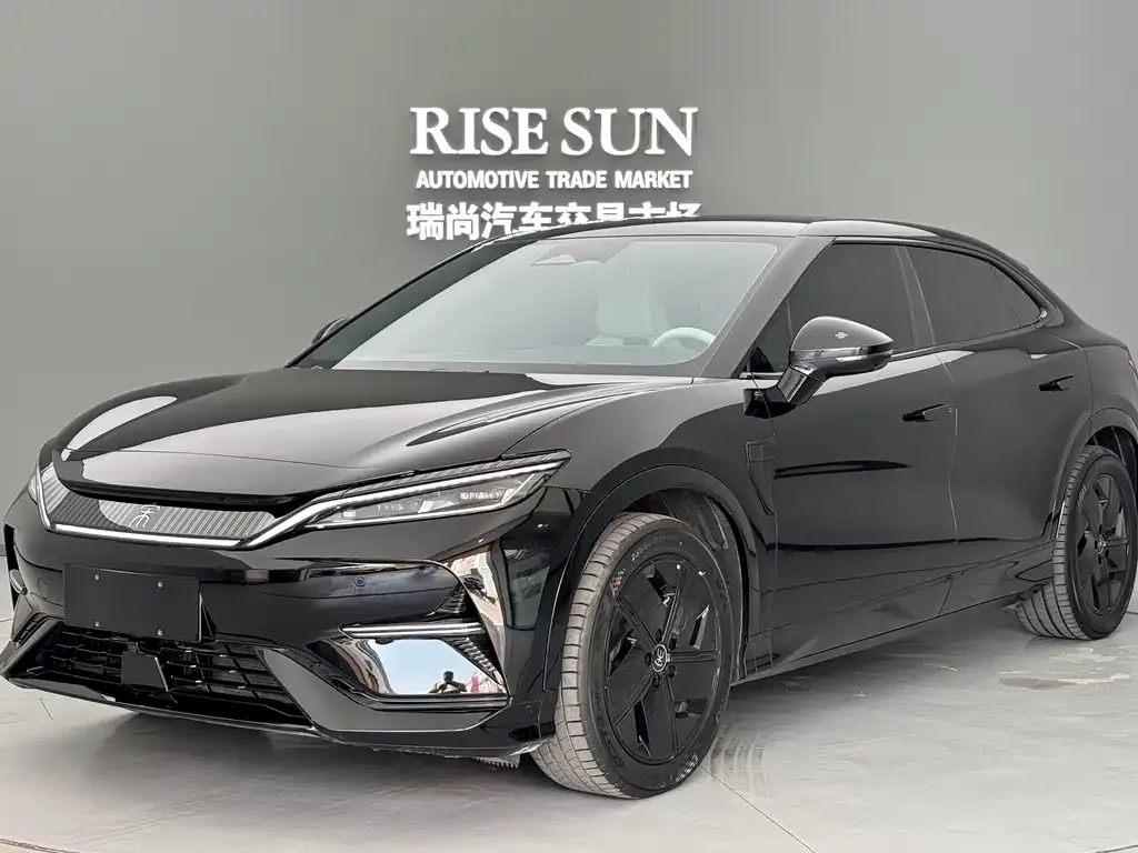BYD L EV
