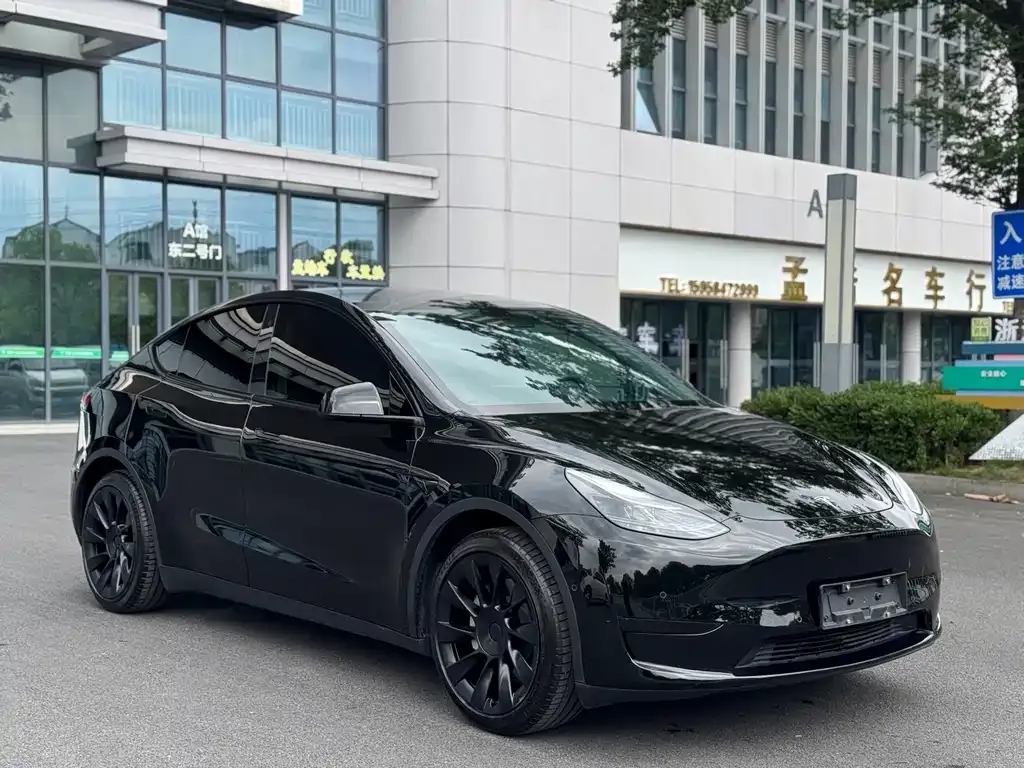 Tesla Model Y — фото 9