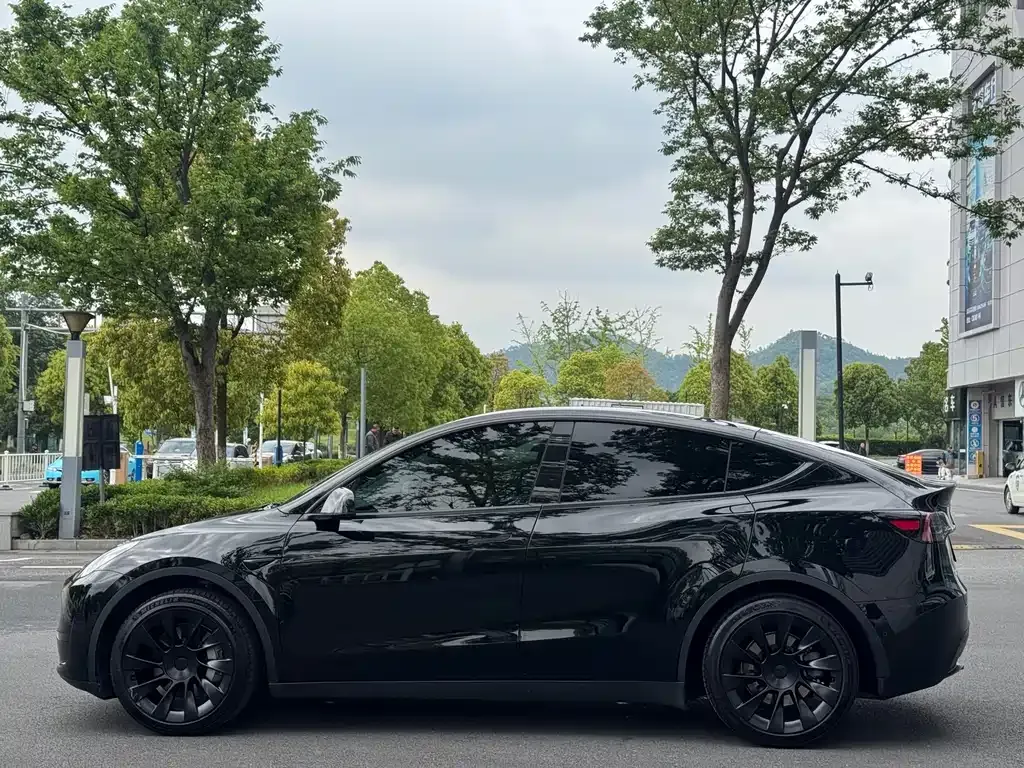 Tesla Model Y — фото 10