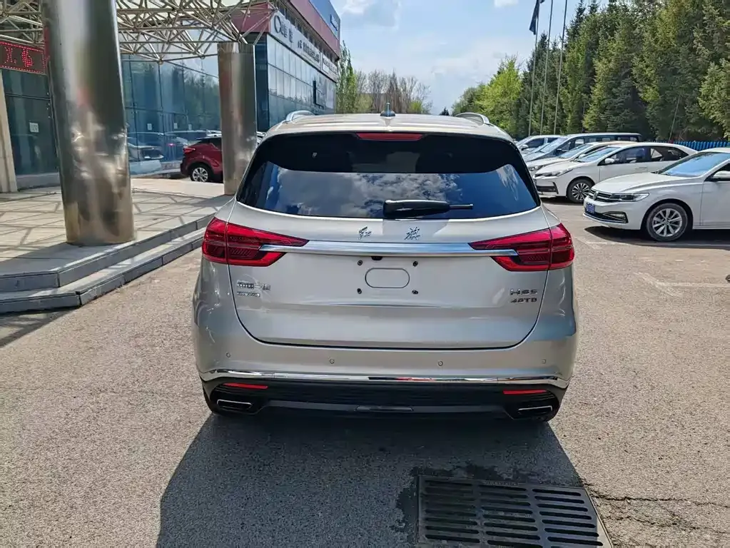 Hongqi HS5 2021 из CN, фото 8