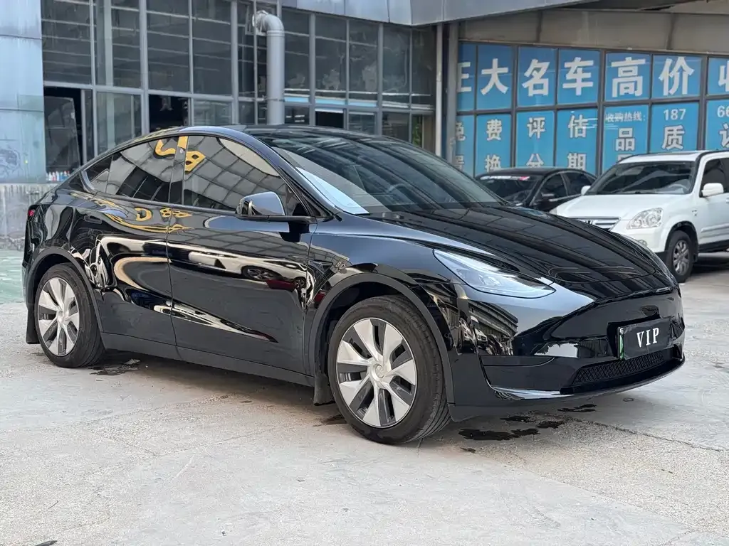 Tesla Model Y — фото 10