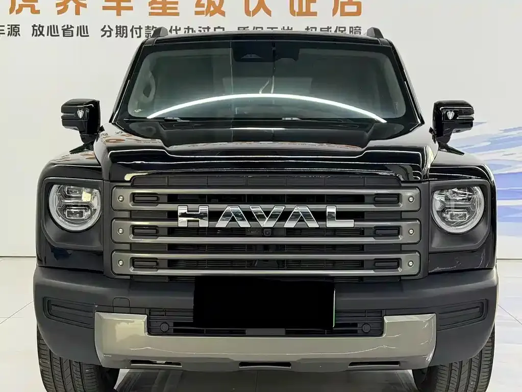 Haval Menglong New Energy — фото 6