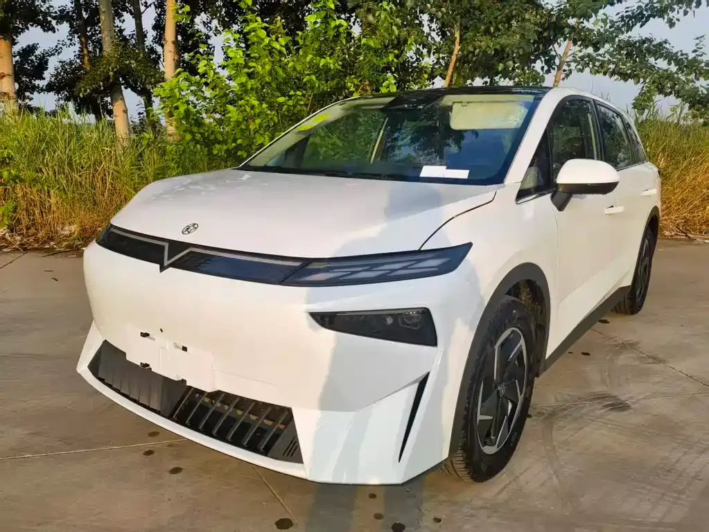 Venucia VX6