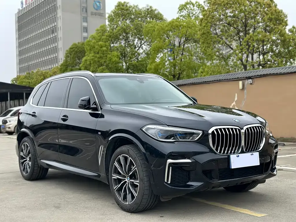 BMW X5 2022 из CN, фото 9