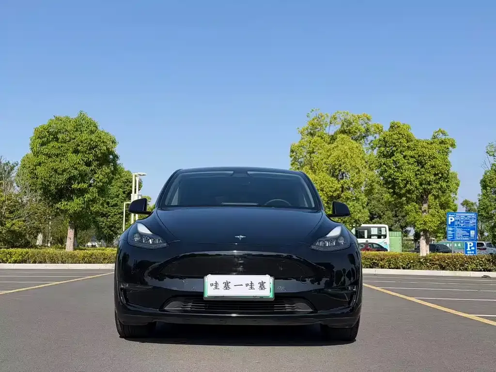 Tesla Model Y — фото 1