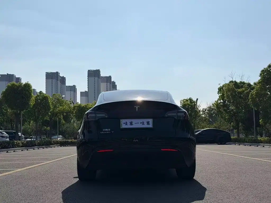 Tesla Model Y — фото 4