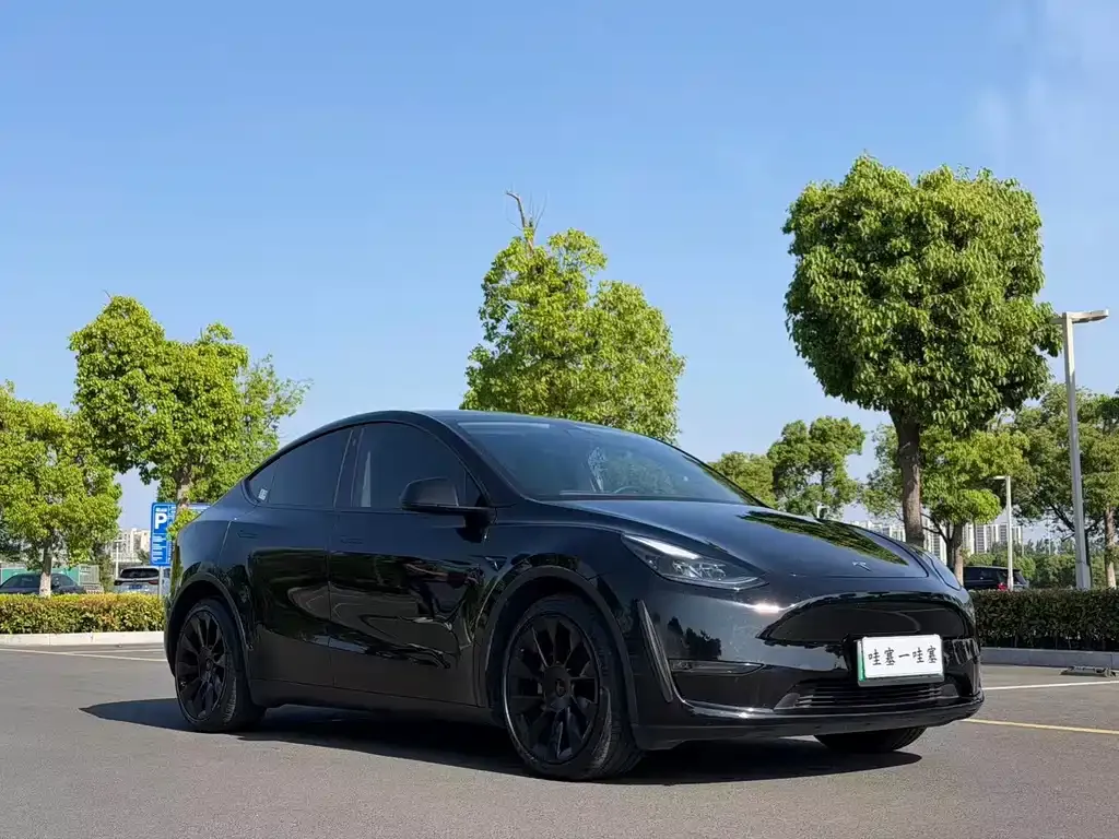 Tesla Model Y — фото 5