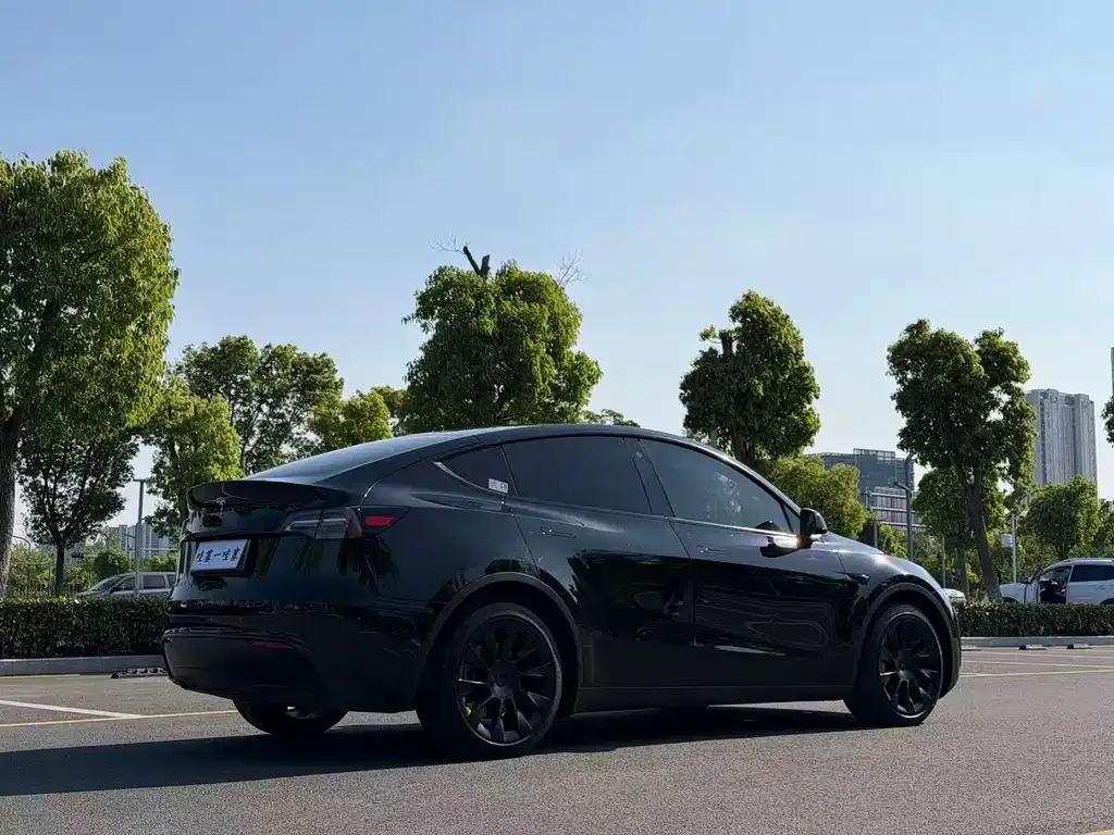 Tesla Model Y — фото 2
