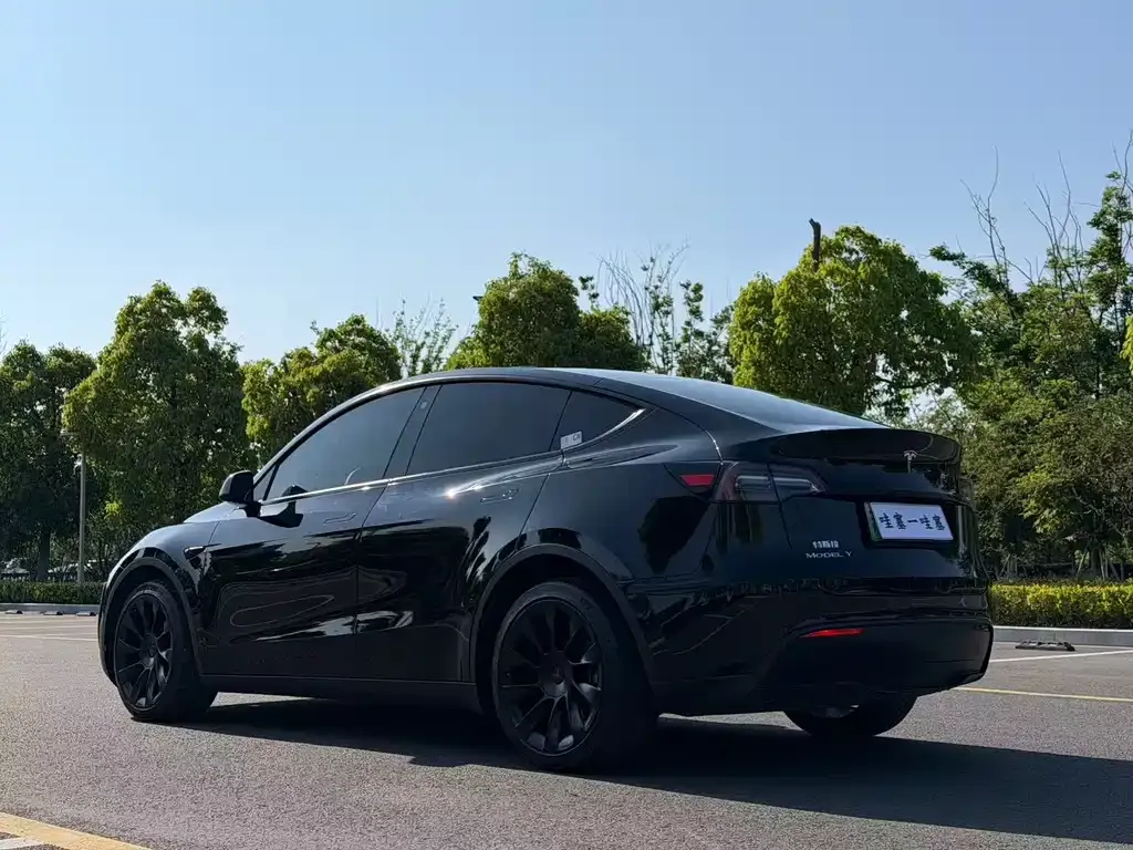 Tesla Model Y — фото 8