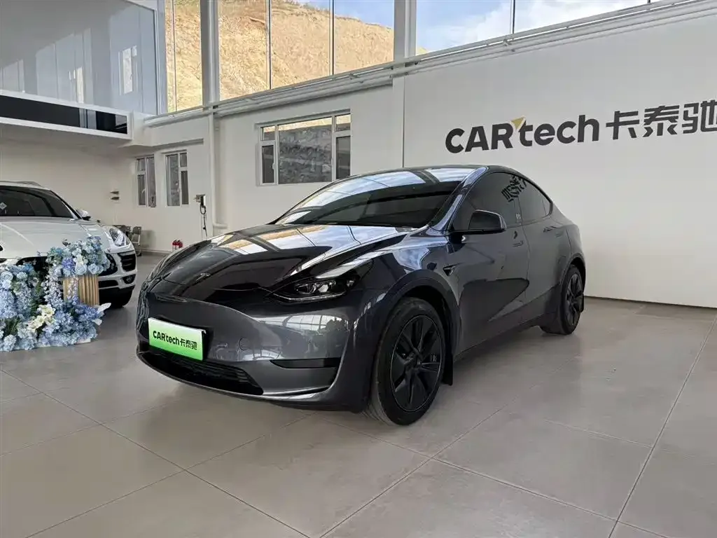 Tesla Model Y — фото 1