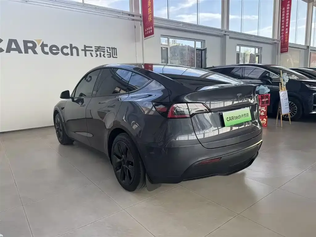 Tesla Model Y — фото 10