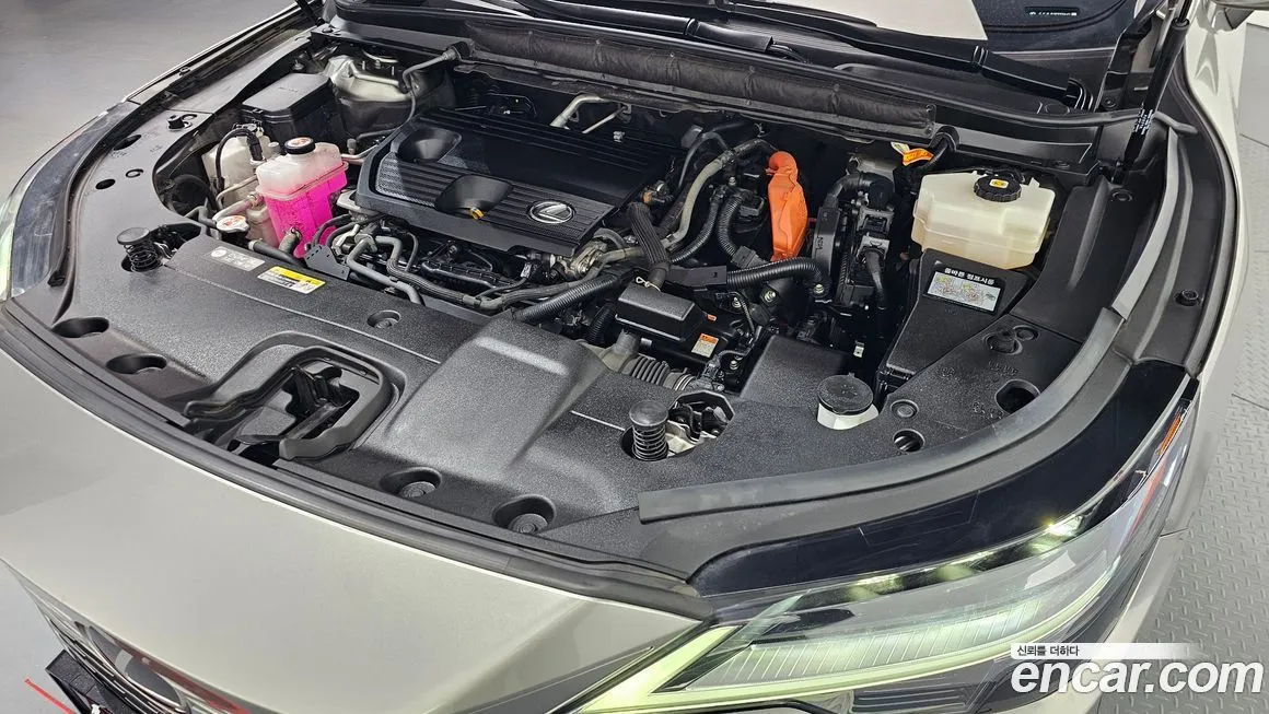 Lexus RX 2023 из KR, фото 8