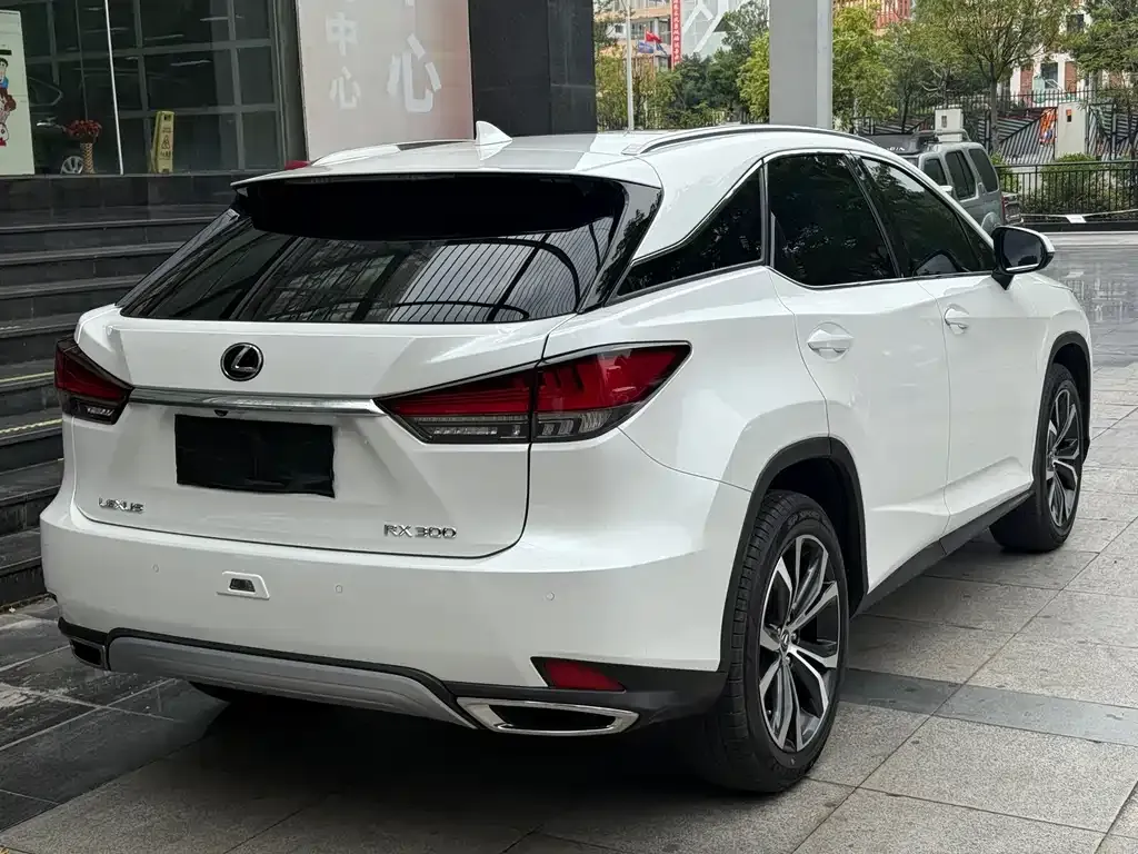 Lexus RX — фото 10
