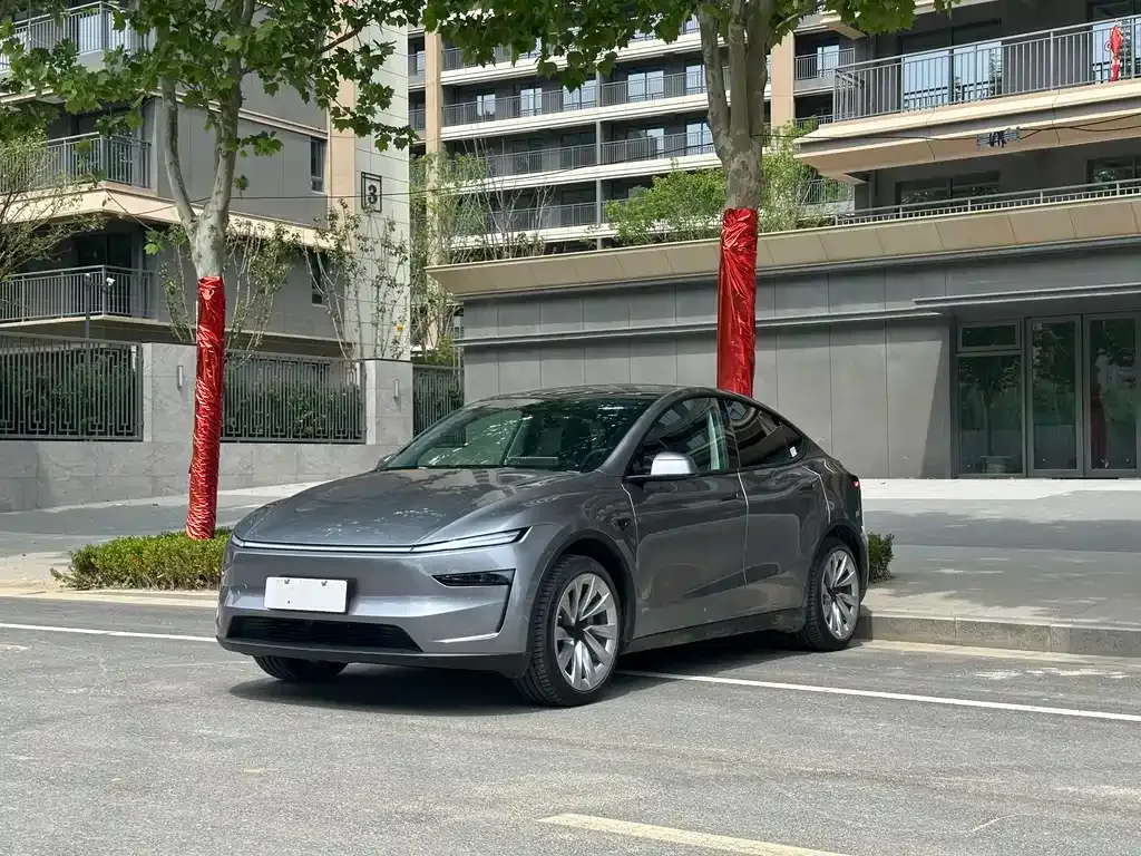 Tesla Model Y — фото 1