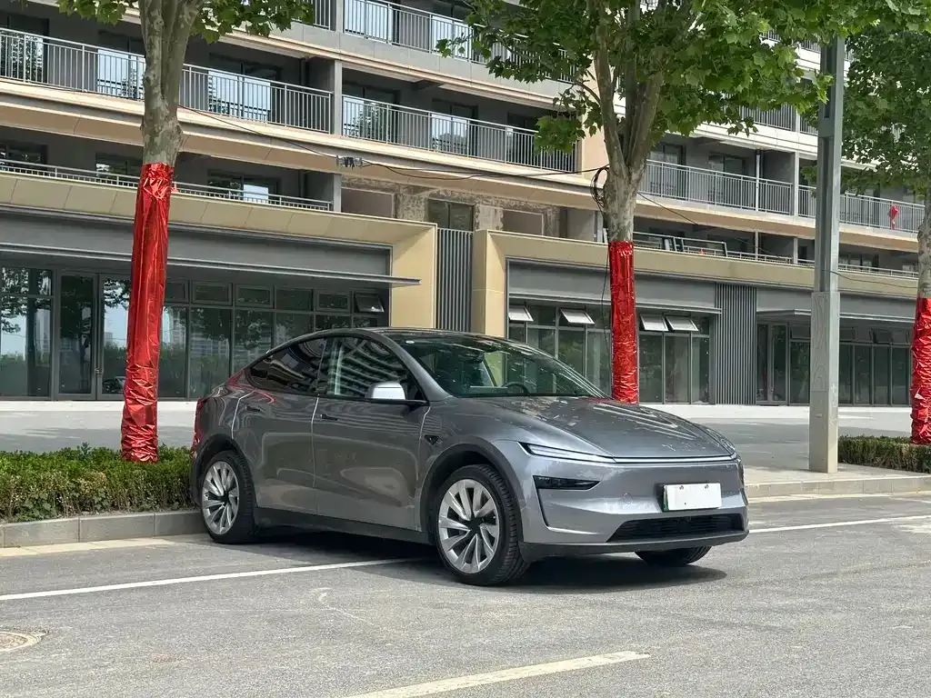 Tesla Model Y — фото 10