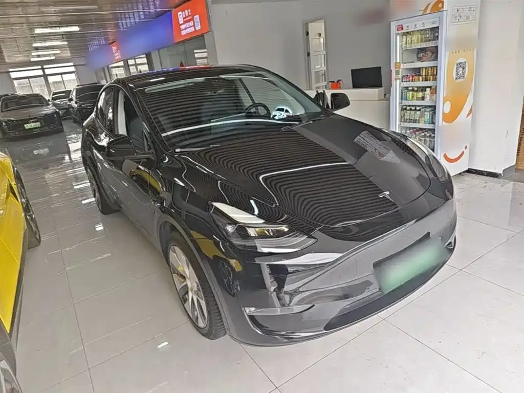 Tesla Model Y — фото 3