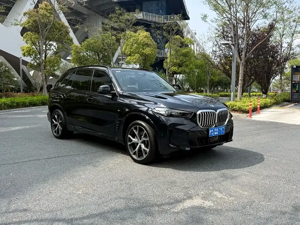 BMW X5 — фото 10