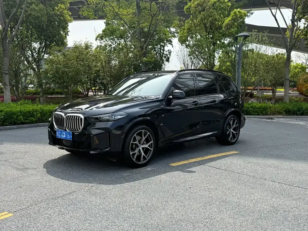 BMW X5 — фото 9