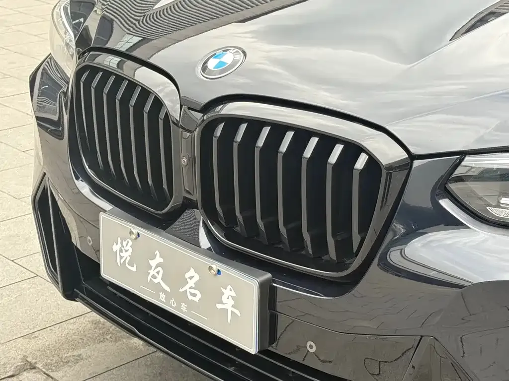 BMW X3 — фото 6