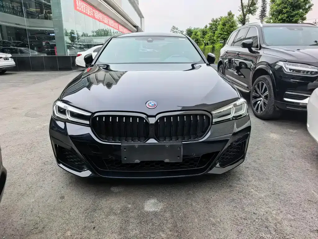 BMW 5 Series 2021 из CN, фото 10