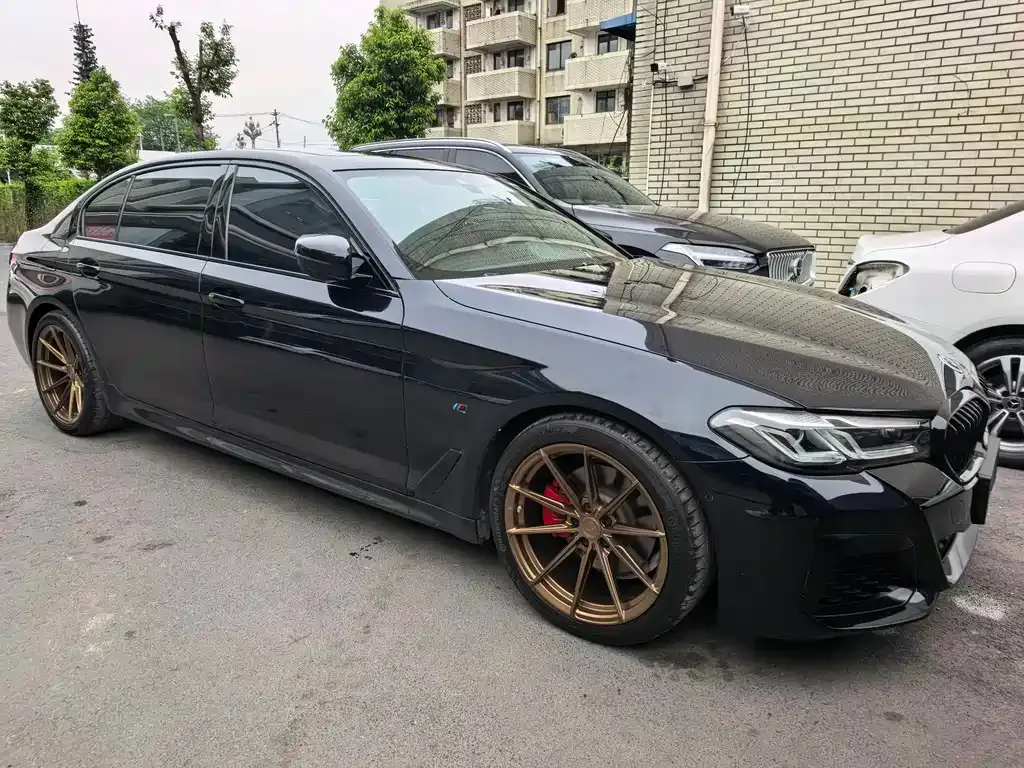 BMW 5 Series 2021 из CN, фото 9
