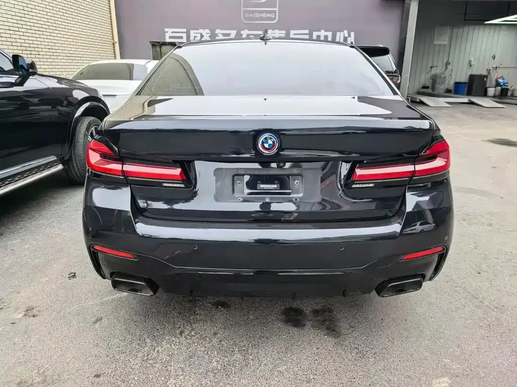 BMW 5 Series 2021 из CN, фото 3
