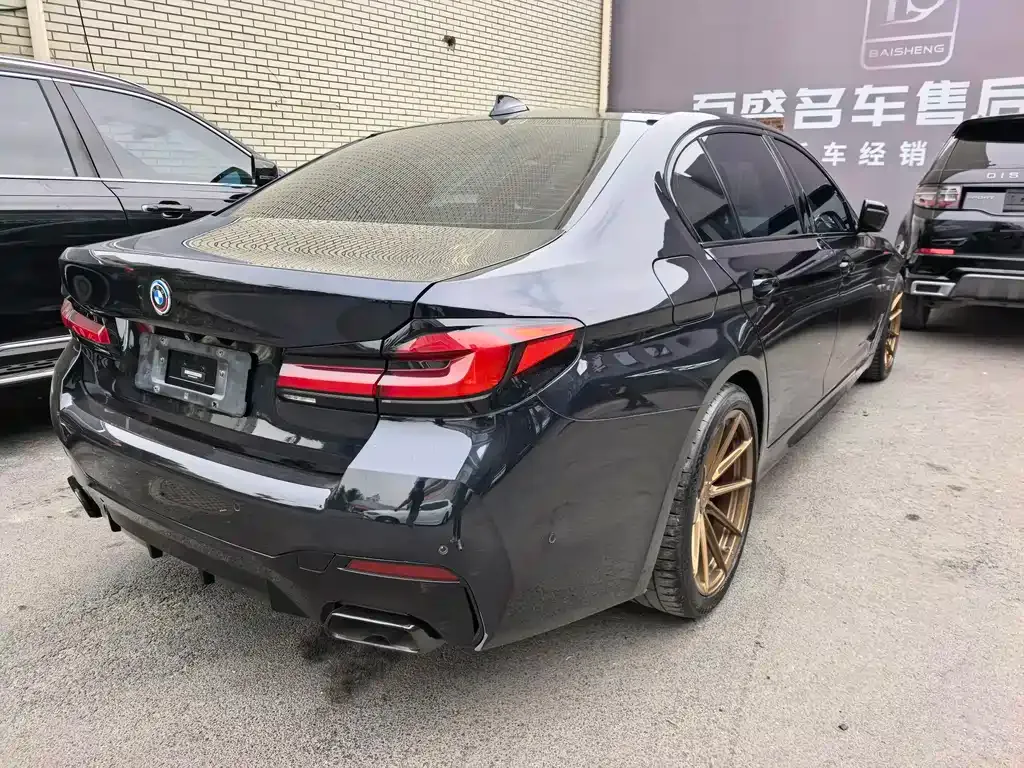 BMW 5 Series 2021 из CN, фото 8