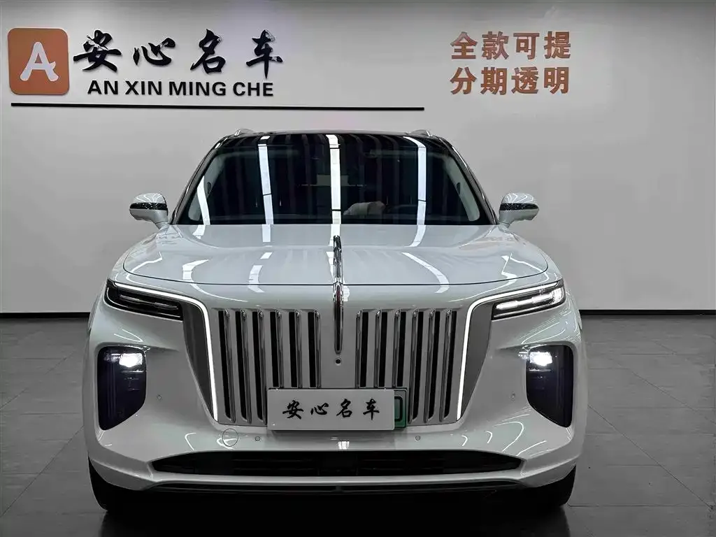 Hongqi E-HS9 2023 из CN, фото 2