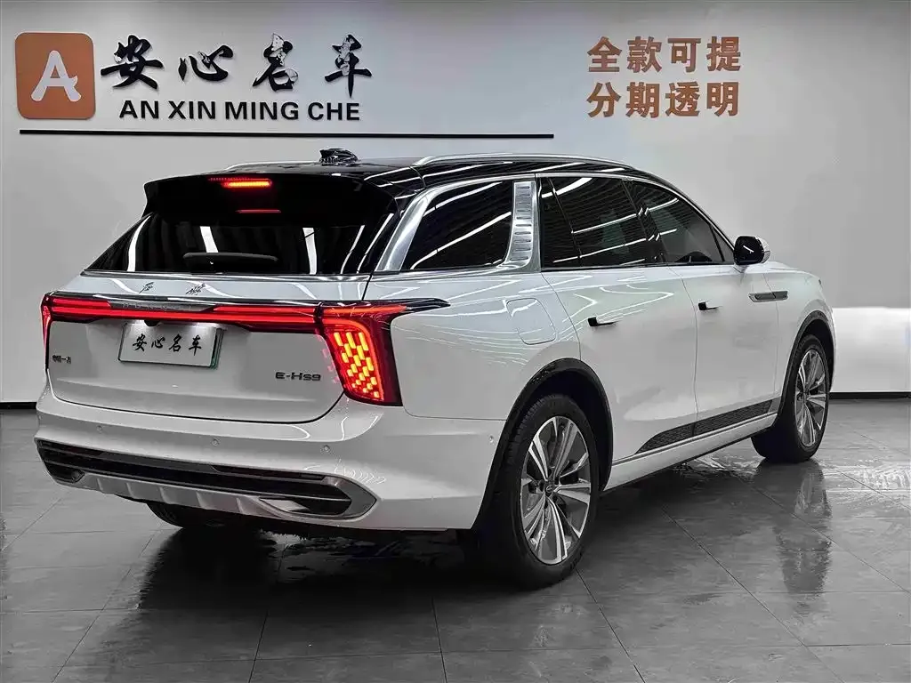 Hongqi E-HS9 2023 из CN, фото 6