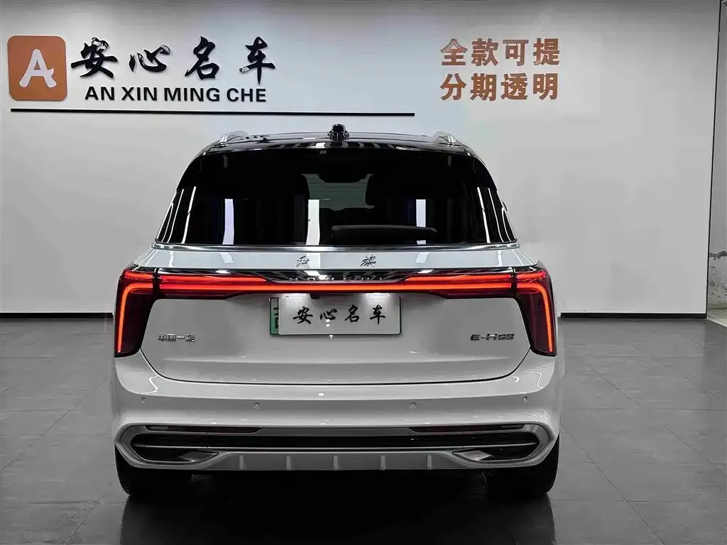 Hongqi E-HS9 2023 из CN, фото 3